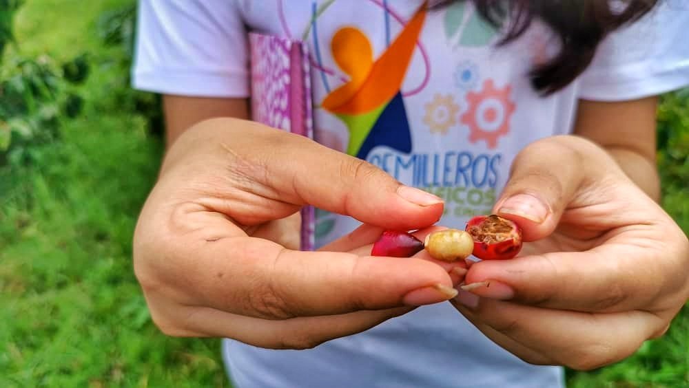 Programa Semilleros Científicos realiza segunda jornada de formación técnica para jóvenes en Mérida