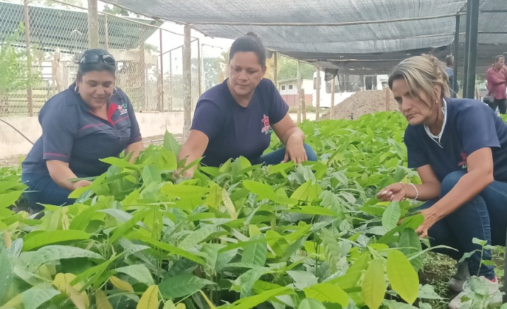 Academia de Ciencias Agrícolas de Venezuela: impulsando la soberanía agroalimentaria